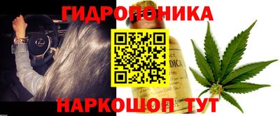 наркотики Кандалакша