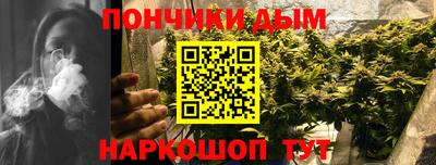 прущие грибы Камышлов