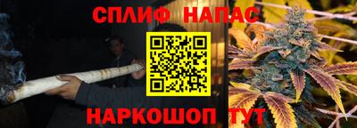 прущие грибы Камышлов