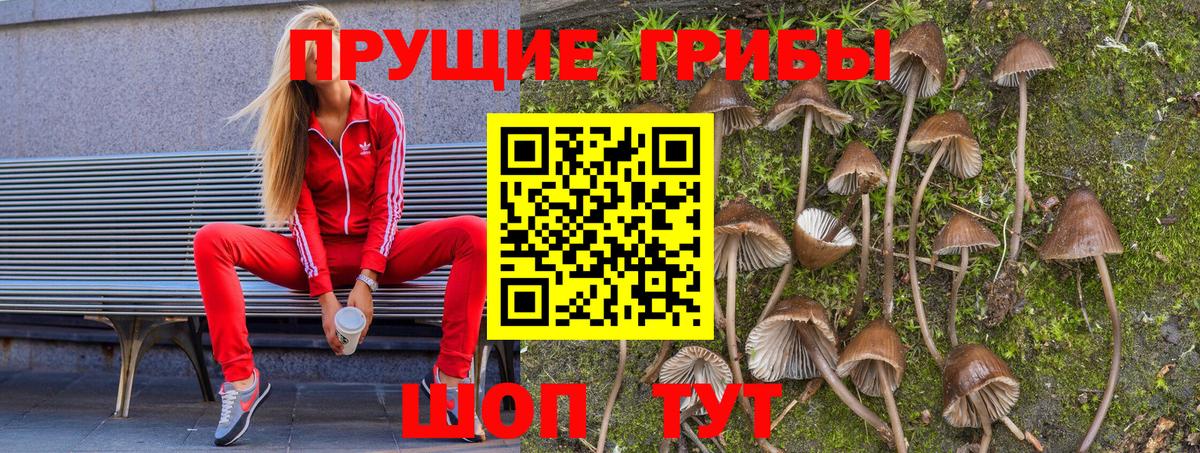 Псилоцибиновые грибы мицелий  Вход с VPN  как найти наркотики  Псилоцибиновые грибы MAGIC MUSHROOMS  Биробиджан 